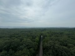 -灵谷景区