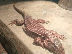 -石家庄市动物园