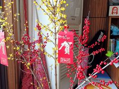 -双季花艺园艺市场(浦东店)