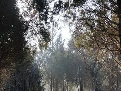 -封龙山风景区