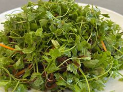 春苗拌香干-渔家乐小海鲜(皇姑店)