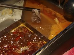 -蜀九鼎毛肚火锅(惠安店)