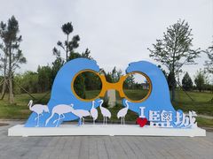 -盐城丹顶鹤湿地生态旅游区