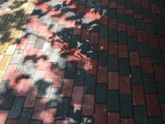 -青岛市江苏路基督教堂