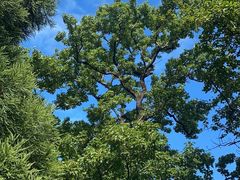 -萍乡武功山风景名胜区