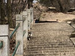 -崂山巨峰游览区