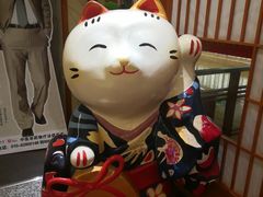 -汤泉良子(金源店)