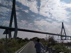-芒洲湿地公园