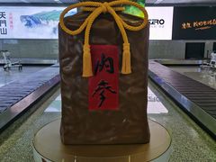 -张家界荷花国际机场