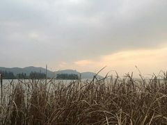 -东湖落雁景区