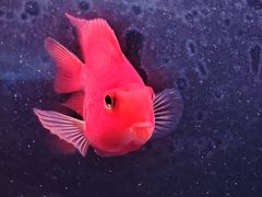 -山水温泉