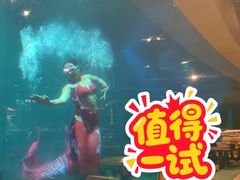 -海棠湾洲际-涛·海底餐厅·美人鱼·自助餐·海底隧道