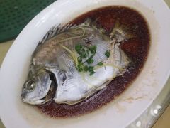 清蒸金古鱼-吉莲利苑海鲜酒家(珠海拱北29年老字号店)