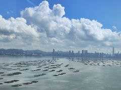 -大澳渔村及棚屋