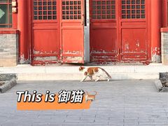-故宫博物院(故宫)