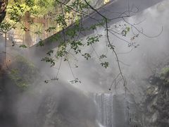 -牛背梁国家森林公园