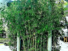 -万山楼海鲜酒家·二十三年老字号