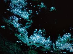 -怀托摩萤火虫洞