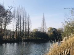 -贵阳市花溪国家城市湿地公园