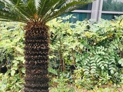 -杭州城北体育公园