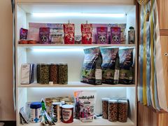 -猫十亿·布偶金渐层·曼基康矮脚猫舍(青年路店)