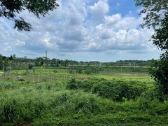 -侯臣咖啡文化村