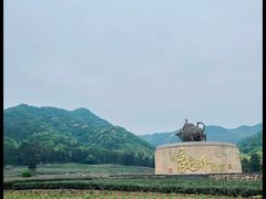 -听风阁农家私房菜茶楼(龙坞店)