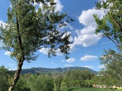 -滨河世纪广场公园