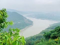 -铁山坪森林公园