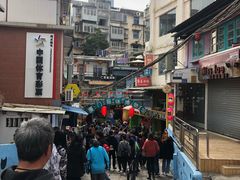 -猫咪博物馆(顶澳仔猫街店)