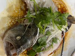 -东鸽皇(奥园·中环广场店)