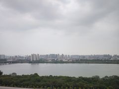 -一煲鸽
