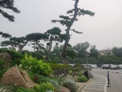 -罗红摄影艺术馆