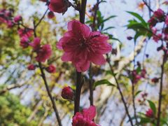 -桃花涧