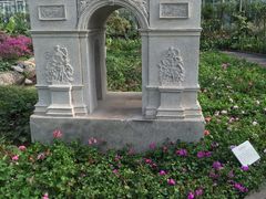 -南宫五洲植物乐园