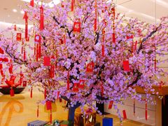 -国家会议中心大酒店