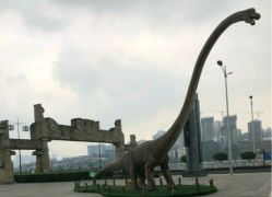 -恐龙探索乐园(磁器口店)