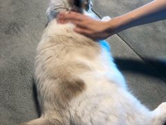 -零纪元VR体验馆·桌游(黄浦店)