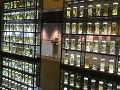 -广东中医药博物馆