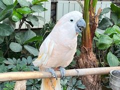 -南宫五洲植物乐园