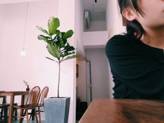 -知亘茶食