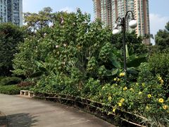 -晓港公园