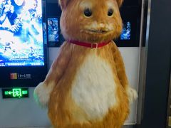 -保利国际影城(保利文化广场店)