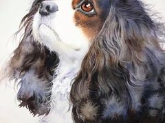 -八哥美术·成人美术画室(总校区)