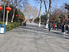 -泰州凤城河风景区-泰山公园