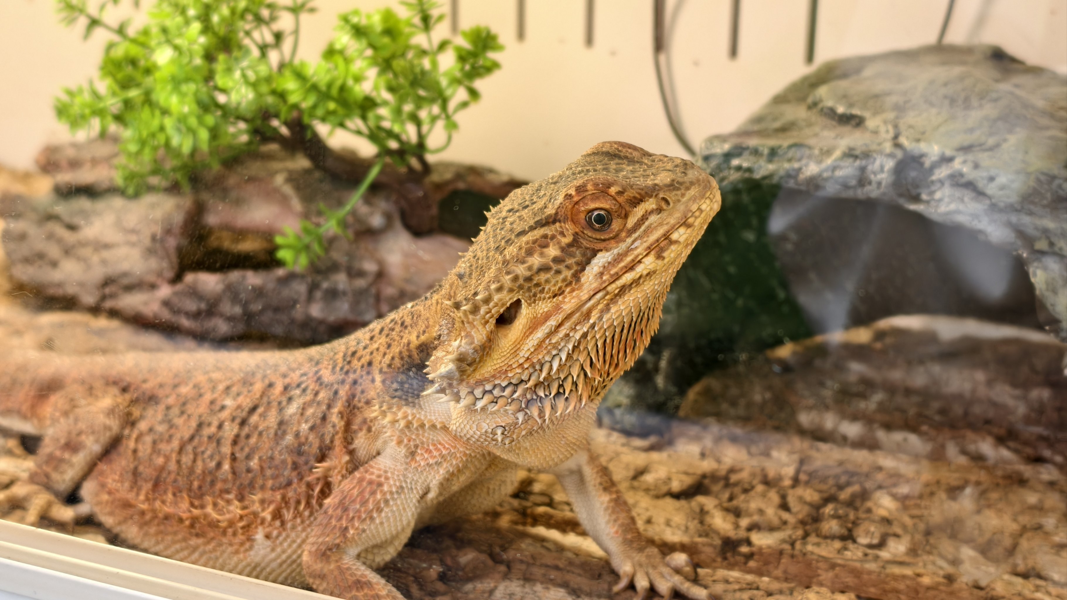 踏青|寓教于乐的周末