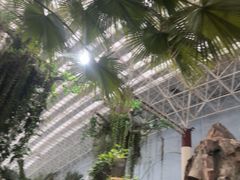 -龙脉温泉室内游泳馆