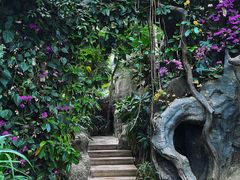 -郑州植物园