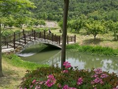 -石塘人家