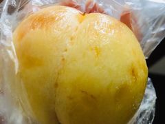 -南汇新场正宗水蜜桃采摘
